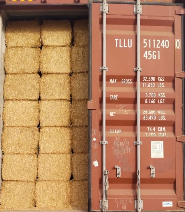 Wheat waste | bundle of wheat straw